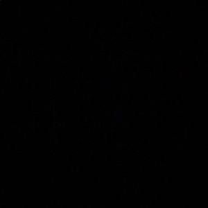 Meet your Posher, Ashlyn